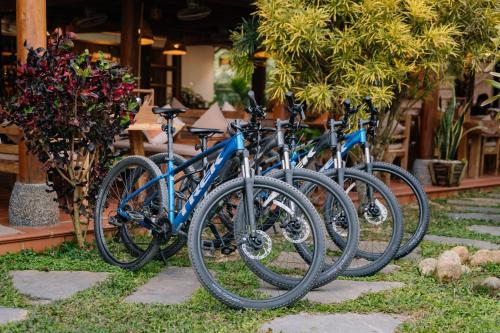 a row of bikes parked next to each other at Anans Home Ha Giang - Tours & Motorbike Rental in Ha Giang