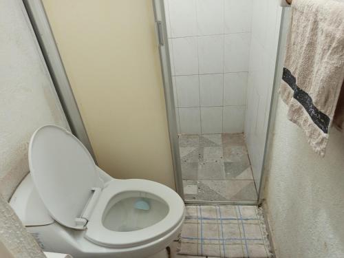 a bathroom with a toilet and a shower at Habitación con clima in Manzanillo