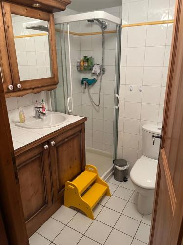 une salle de bain avec un lavabo, une douche et des toilettes dans l'établissement The cabin at Morillon 1100, à Morillon