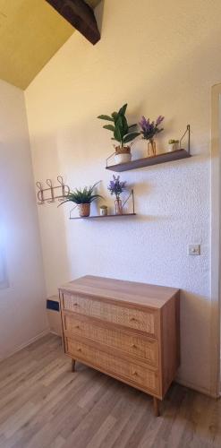 une chambre avec des étagères et des plantes en pot sur le mur dans l'établissement Maison de vacances unique, au bord de la mer, proche plages, à Saint Cyprien Plage