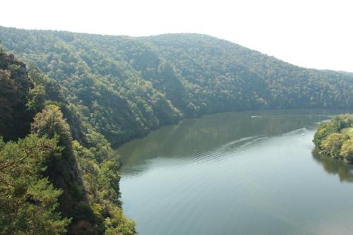 an aerial view of a river in a forest at Country house - Slapy/Pazderny in Žďár
