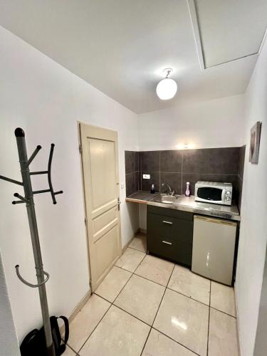 une petite cuisine avec un évier et un micro-ondes dans l'établissement Studio Les Tilleuls, à Pouilly-les-Nonains