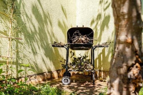Vườn quanh Green house Peroj, WI-FI, FREE PARKING, GARDEN, HOT TUBE, PET FRIENDLY