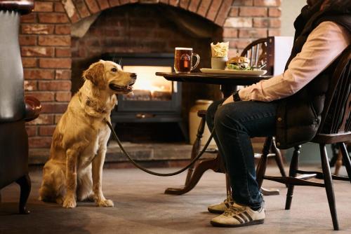 a dog sitting next to a person sitting in front of a table at Hotel Victoria in Whitby