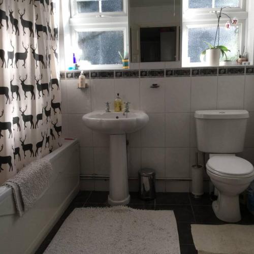 a bathroom with a sink and a toilet at Victorian cottage in Windsor in Windsor