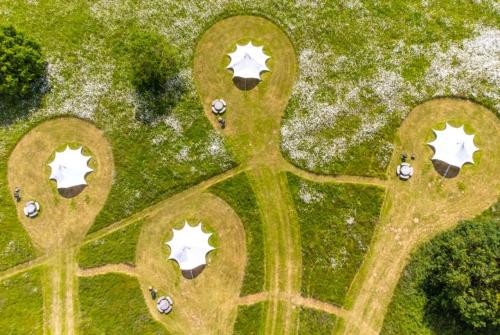 an overhead view of a park with animals in the grass at Red Clover at Blancas Bell Tents in Ringstead