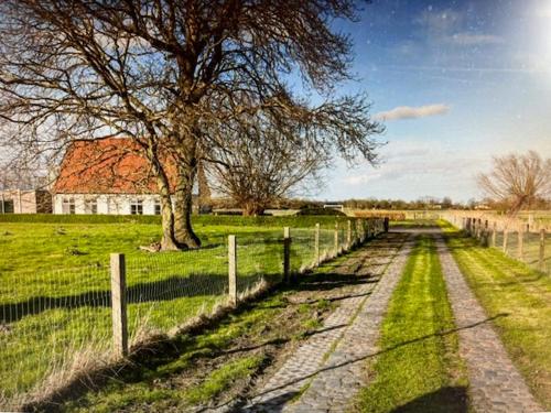 a tree and a fence in a field with a house at SCHRAVENHOEk met indoorzwembad en sauna in Veurne