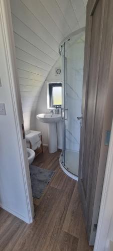 a bathroom with a shower and a sink and a toilet at Coastal Hideaway Pod in Fisherstreet