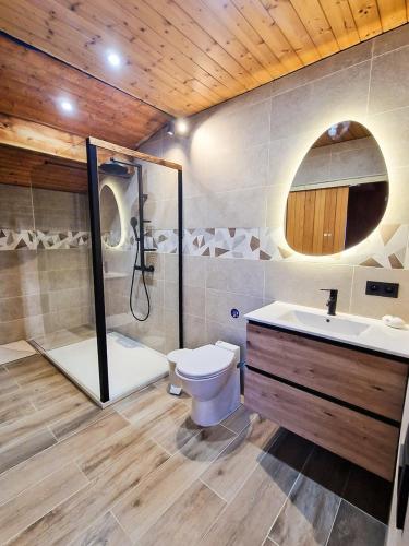 une salle de bain avec toilettes, douche et lavabo dans l'établissement Le Chalet de Guy et Rose, à Passy