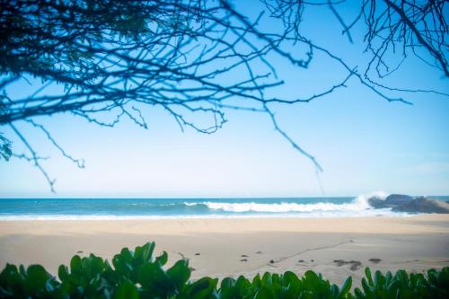 a beach with footprints in the sand and the ocean at NIKARA Luxury Beach House in Tissamaharama