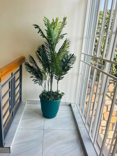Balkon oz. terasa v nastanitvi KG 449 CREATIVE Apartment