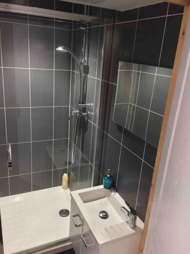 La petite salle de bains est pourvue d'une douche et d'un lavabo. dans l'établissement La Rainette - Chambre - Chalamont, à Chalamont