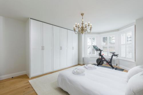 Beautiful Garden Apartment in Central Hove photo 8