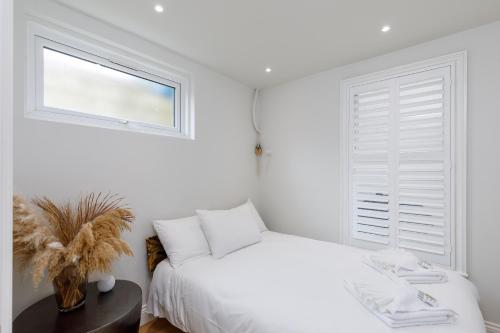 Beautiful Garden Apartment in Central Hove photo 12