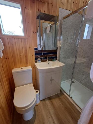 a bathroom with a toilet and a sink and a shower at Grains Bar Hotel in Oldham