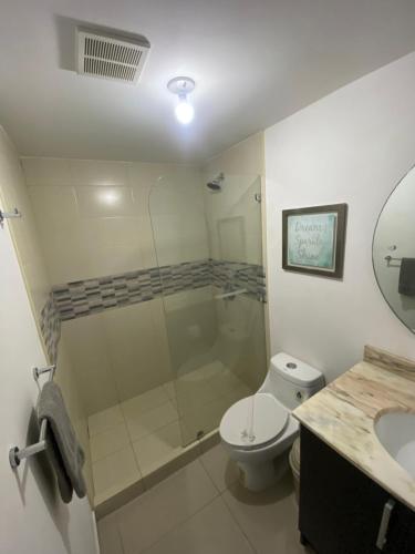 a bathroom with a shower and a toilet and a sink at Brisa de rio Apartamento in La Chimba