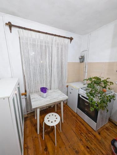Una pequeña cocina con una mesa y una planta. en Eco loft, en Bishkek