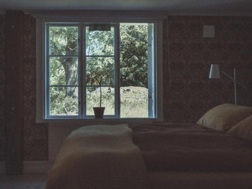 a bedroom with a bed and a window with a plant at Folk och Fä in Grisslehamn