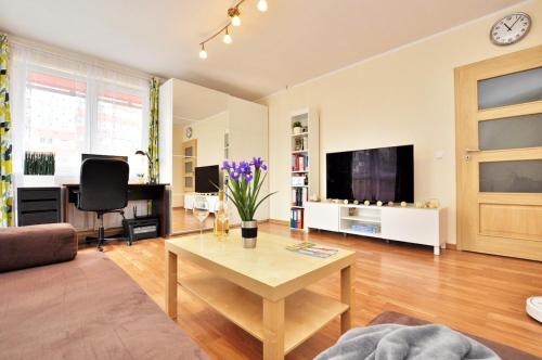 Comfortable apartment near center