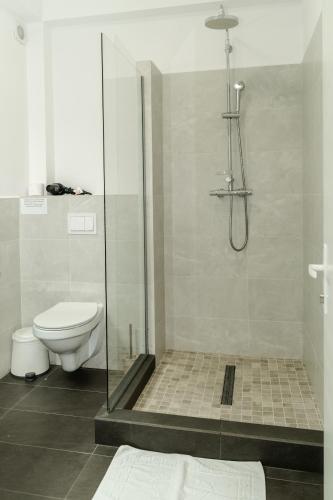 a bathroom with a toilet and a glass shower at Sky Rooms in Sub Coastă