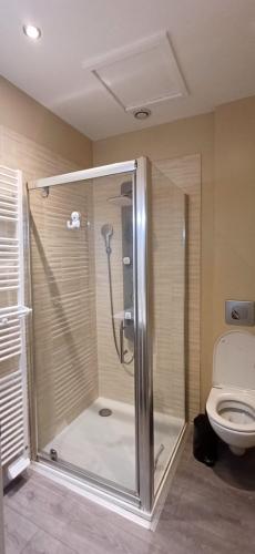 une douche dans une salle de bain avec toilettes dans l'établissement Charmante escale aux Sables d'Olonne, à Les Sables-dʼOlonne