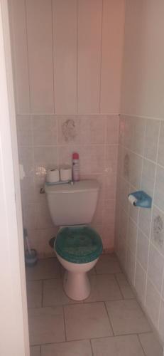 La salle de bains est pourvue de toilettes avec un siège vert. dans l'établissement La campagne, à Montgivray