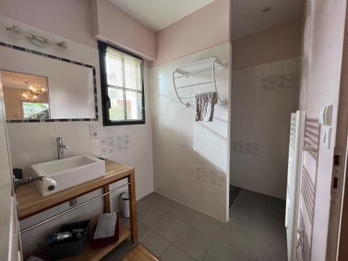 une salle de bain avec un lavabo et une douche dans l'établissement Le Cocon des Châteaux de la Loire, à Fougères-sur-Bièvre