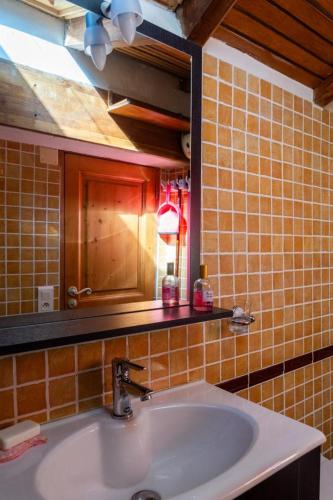 une salle de bain avec un lavabo et un miroir dans l'établissement Gîte Location 2/4 personnes à Palhères, à Villefort