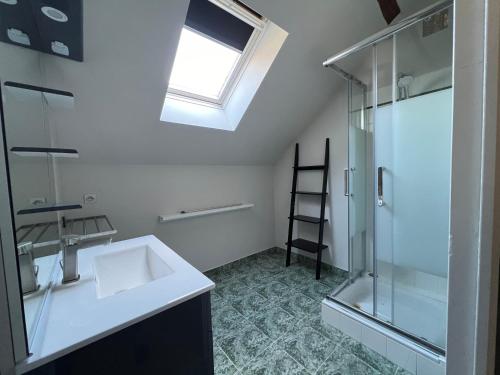 une salle de bain avec un lavabo et une douche en verre dans l'établissement Chez Riton - Château de Thésée, à Thésée