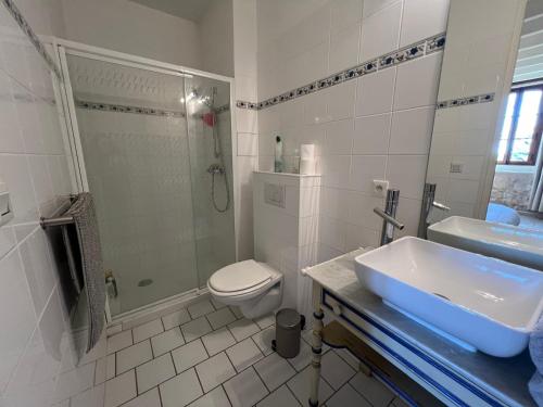 une salle de bain avec un lavabo, des toilettes et une douche dans l'établissement La Closerie – Château de Thésée, à Thésée