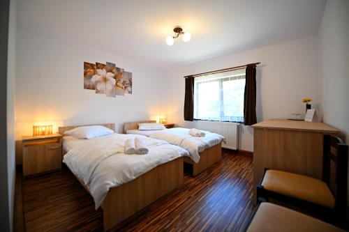 a bedroom with two beds and a window at Casa MonyBeea in Silvaşu de Sus