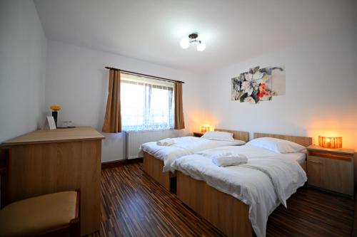a bedroom with two beds and a window at Casa MonyBeea in Silvaşu de Sus