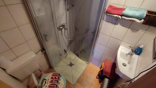 a bathroom with a shower and a toilet and a sink at Hainich-Zeit in Eigenrieden