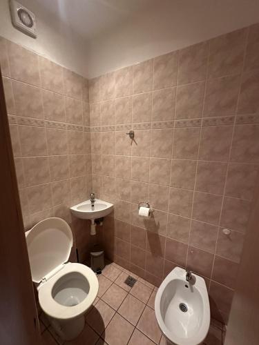 a bathroom with a toilet and a sink at Penzion Dubík in Dubí