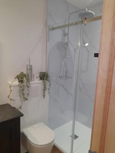 a bathroom with a toilet and a glass shower at La porte in Huy