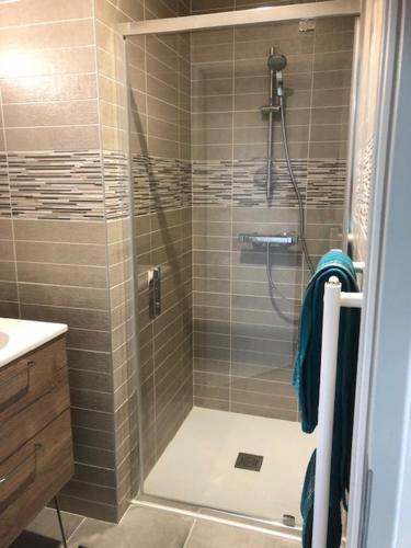 une douche avec une porte vitrée dans une salle de bain dans l'établissement TUAMOTU - Location 3 Chambres le Bourget du Lac Chambéry, au Bourget-du-Lac