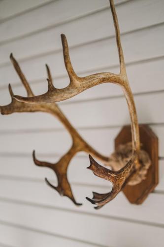 a pair of deer antlers hanging from a ceiling at Lodge 67°N Lapland in Äkäslompolo