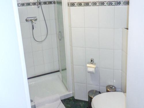 a bathroom with a toilet and a shower at Ferienwohnung Am Recknitzhang in Carlewitz