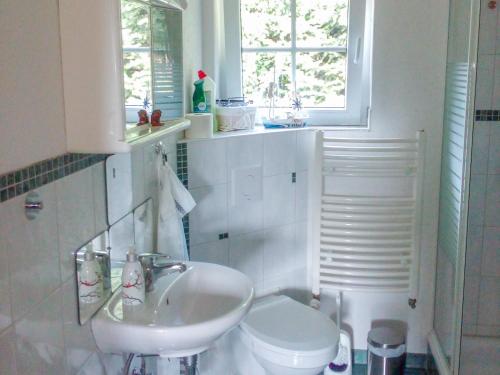 a bathroom with a sink and a toilet and a window at Ferienwohnung am Wald in Todenhagen