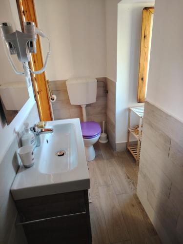 a bathroom with a sink and a toilet at Baita LA CANAL silenzio e relax in Monastero di Lanzo