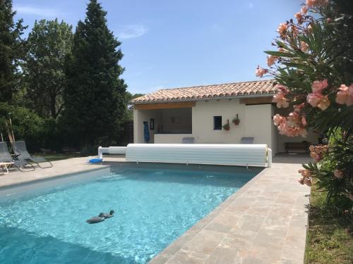 une piscine avec un canard dans l'eau à côté d'une maison dans l'établissement Maison Majorelle, à Moussoulens