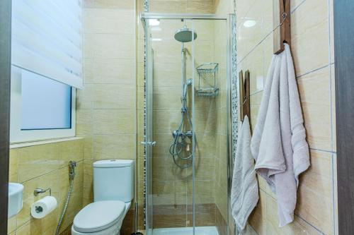 a bathroom with a toilet and a glass shower at D Pool Top in Msida