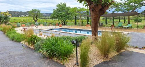 a swimming pool in a garden with a tree at Château La Sabine in Saint-Laurent-de-la-Cabrerisse