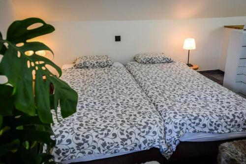a bedroom with two beds and a plant at Barque de Furnes in Ieper