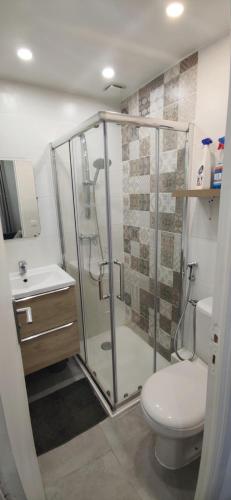 une salle de bain avec une douche, des toilettes et un lavabo dans l'établissement Studio hyper centre Nice, à Nice