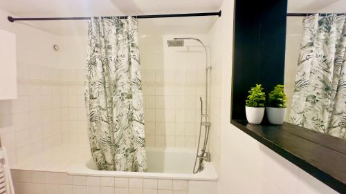 une douche dans une salle de bains avec deux plantes en pot dans l'établissement 2 Bedroom Duplex Center, Patio, à Montpellier