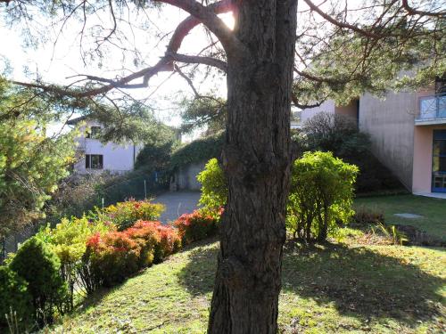 a tree in front of a house with flowers at I TRE FAGGI in Albese Con Cassano