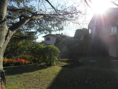 a tree in a yard with a house in the background at I TRE FAGGI in Albese Con Cassano