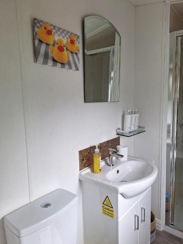 a bathroom with a sink and a mirror and a toilet at 11 Borwick Lakes in Carnforth