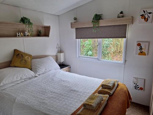 a bedroom with a bed and two windows at 11 Borwick Lakes in Carnforth